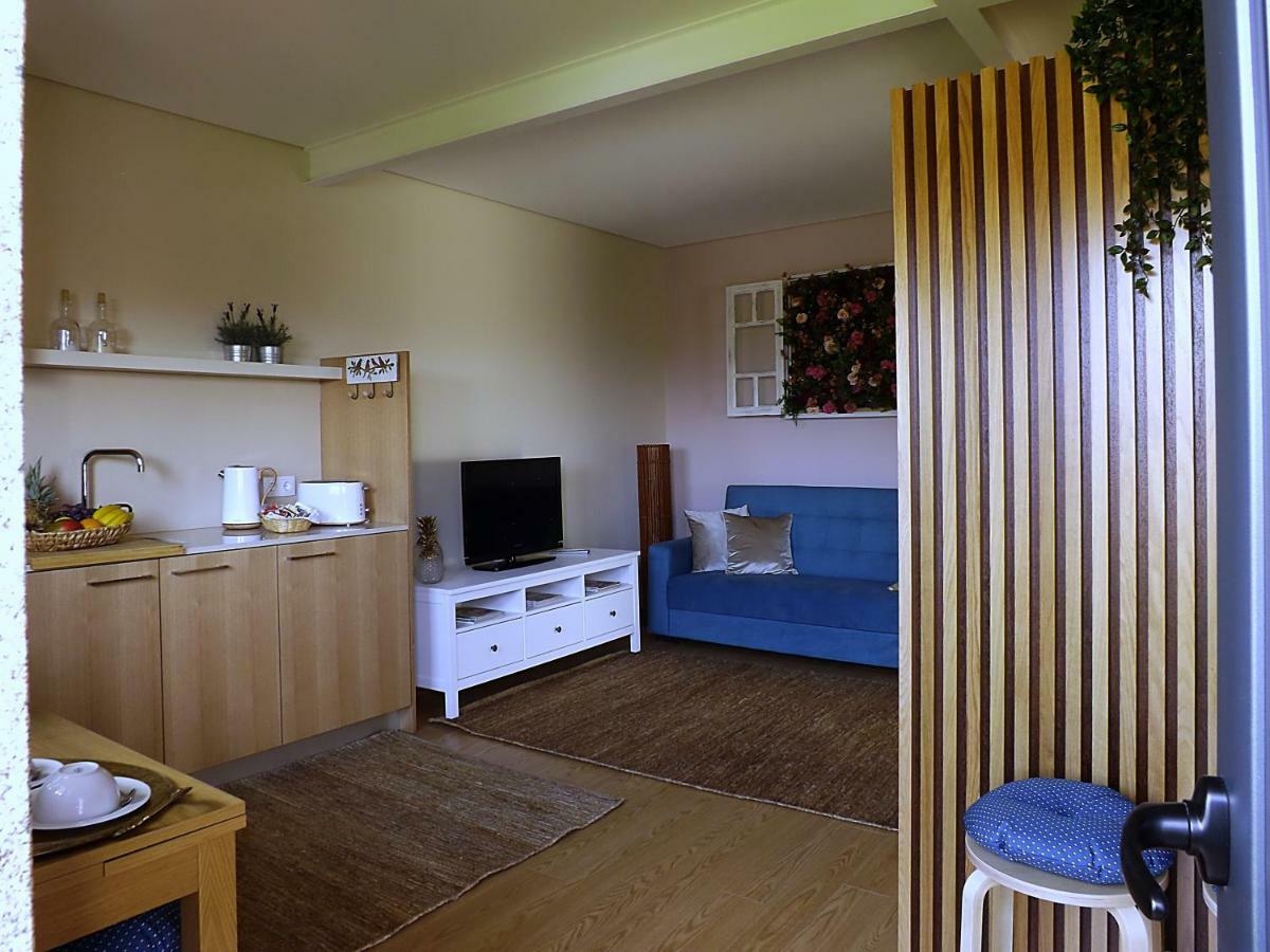 Casa Maximo Appartement Penafiel Buitenkant foto